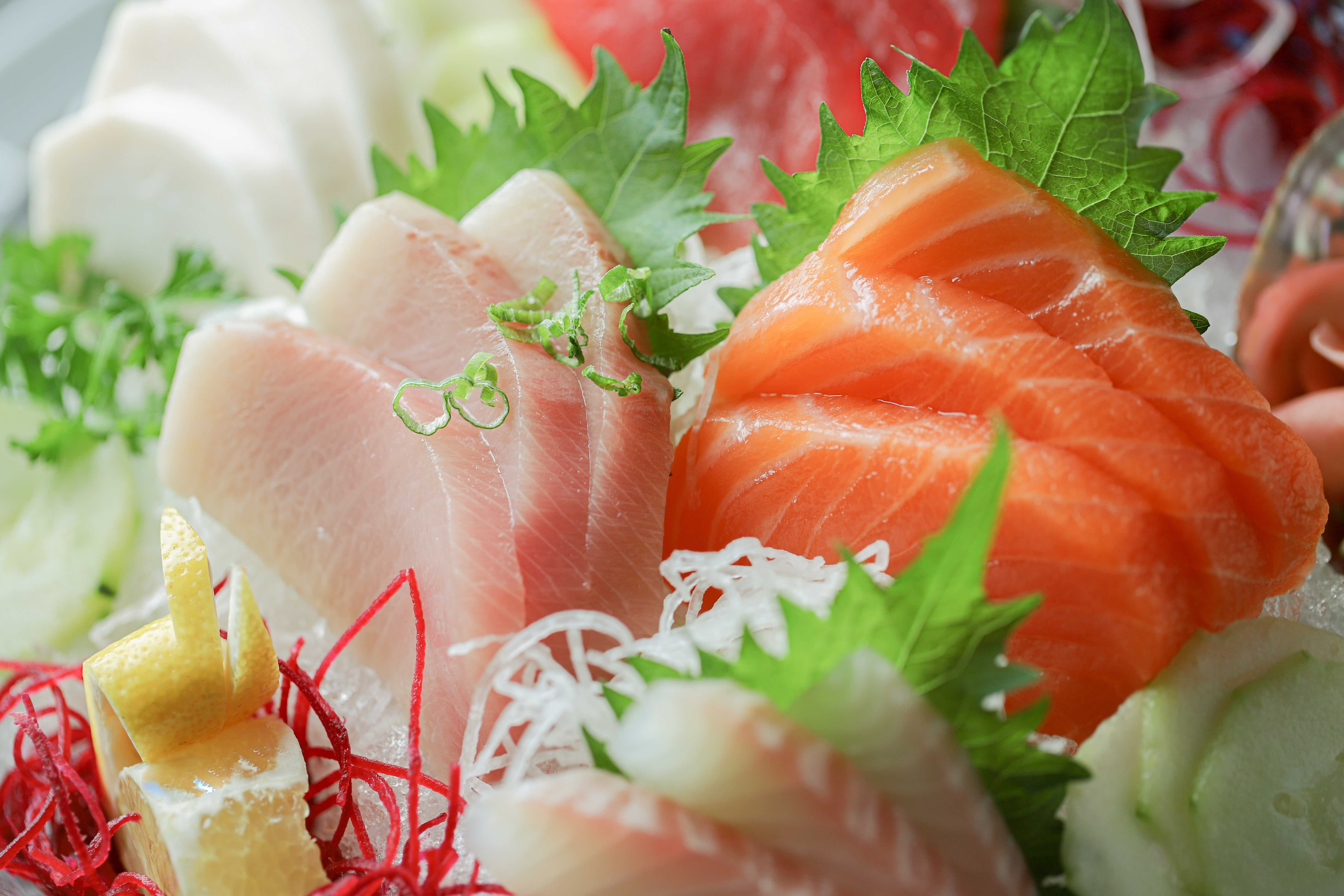 Sashimi